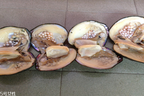 河蚌能和西瓜一起吃嗎 它們不相克 河蚌能和西瓜一起吃嗎 它們不相克