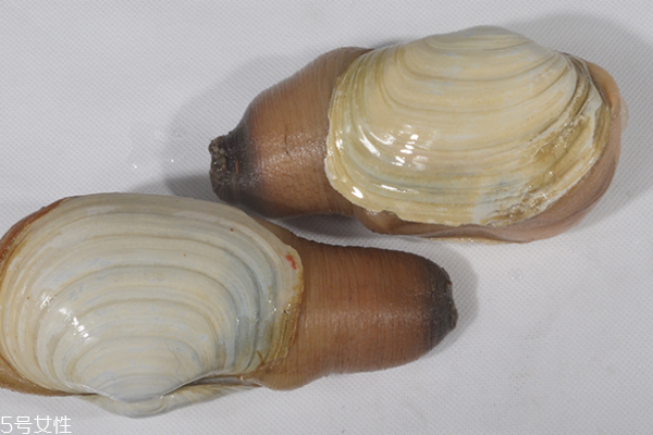 象拔蚌切片怎么吃 刺身炒菜都可以 象拔蚌切片怎么吃 刺身炒菜都可以