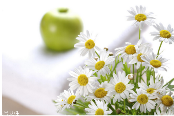 身體老化的進(jìn)程與原兇 身體老化的進(jìn)程與原兇