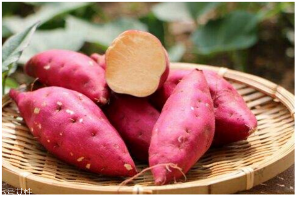 秋季養(yǎng)生薯類選擇是王道 營養(yǎng)健康一級棒 秋季養(yǎng)生薯類選擇是王道 營養(yǎng)健康一級棒