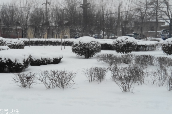 冬季養(yǎng)生保健必須知道的那點事 冬季養(yǎng)生保健必須知道的那點事