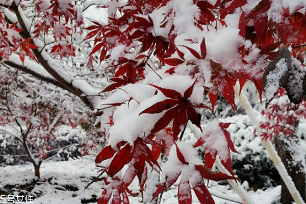 冬季人體保暖需要注意哪些措施 冬季人體保暖需要注意哪些措施