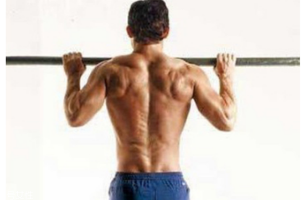 引體向上一天做多少個合適 練習引體向上的注意事項 引體向上一天做多少個合適 練習引體向上的注意事項