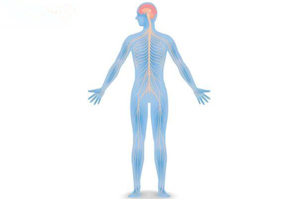 什么是自律神經(jīng)失調(diào) 自律神經(jīng)失調(diào)可以吃補(bǔ)嗎 什么是自律神經(jīng)失調(diào) 自律神經(jīng)失調(diào)可以吃補(bǔ)嗎