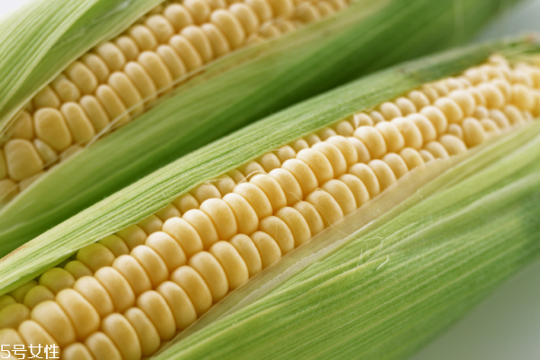 玉米為什么長胡須 它是玉米的花 玉米為什么長胡須 它是玉米的花