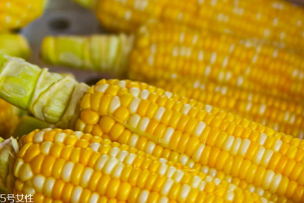 玉米為什么那么甜 因?yàn)樗翘鹩衩? alt=
