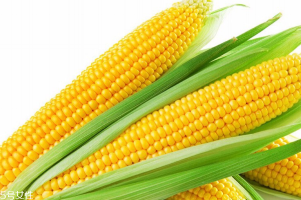 玉米為什么那么甜 因?yàn)樗翘鹩衩? alt=