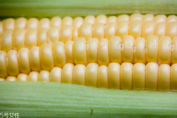 玉米怎么煮好吃 這樣煮出來(lái)最美味 玉米怎么煮好吃 這樣煮出來(lái)最美味