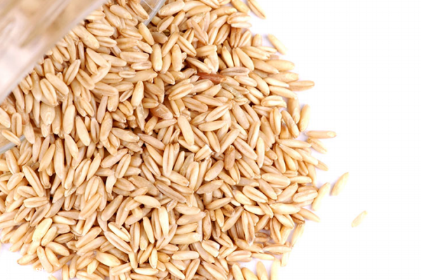 燕麥?zhǔn)切←渾?兩種不同的谷物 燕麥?zhǔn)切←渾?兩種不同的谷物