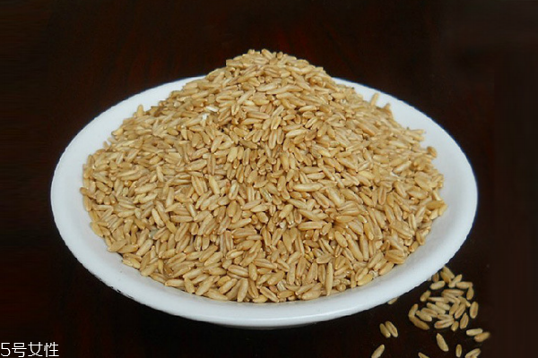 燕麥?zhǔn)切←渾?兩種不同的谷物 燕麥?zhǔn)切←渾?兩種不同的谷物