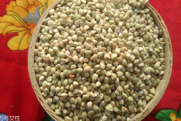 蕎麥有什么營(yíng)養(yǎng)成分 營(yíng)養(yǎng)很豐富 蕎麥有什么營(yíng)養(yǎng)成分 營(yíng)養(yǎng)很豐富