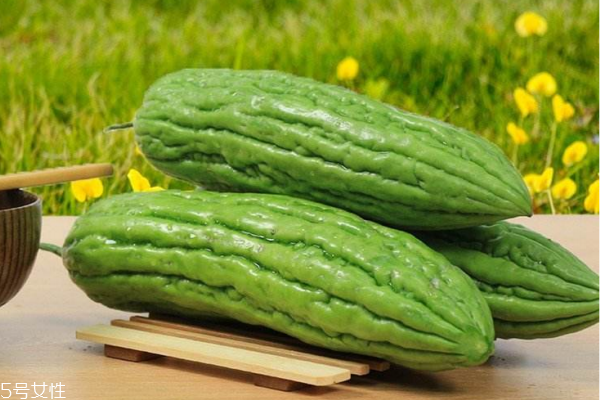 苦瓜能天天吃嗎 有害無益 苦瓜能天天吃嗎 有害無益