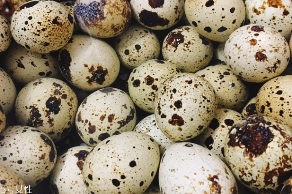 鵪鶉蛋熱量高嗎 并不算很高 鵪鶉蛋熱量高嗎 并不算很高
