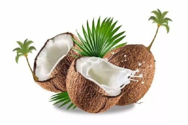 椰奶和椰汁有什么區(qū)別 大大的不同 椰奶和椰汁有什么區(qū)別 大大的不同