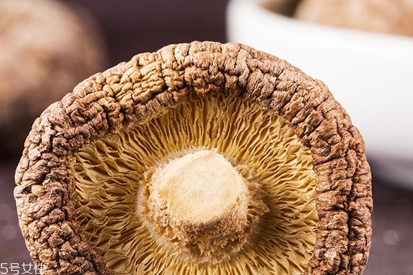 泡水的香菇怎么保存 最好盡早食用完 泡水的香菇怎么保存 最好盡早食用完