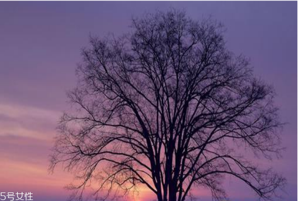 立冬養(yǎng)生小常識(shí)人人都需知曉 立冬養(yǎng)生小常識(shí)人人都需知曉