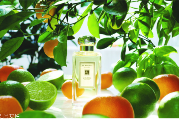 祖馬龍香水哪個好聞 祖馬龍香水味道 祖馬龍香水哪個好聞 祖馬龍香水味道