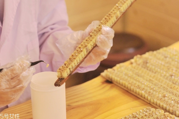 蜂王漿要冷藏還是冷凍 食用期間冷藏 蜂王漿要冷藏還是冷凍 食用期間冷藏