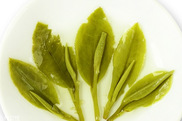 龍井為什么味道淡 茶的濃淡感 龍井為什么味道淡 茶的濃淡感