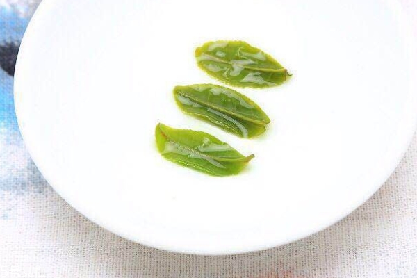 六安瓜片怎么保存 4個保存方法 六安瓜片怎么保存 4個保存方法