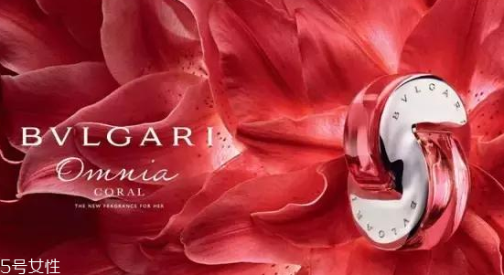 寶格麗香水怎么樣 寶格麗珠寶世家香水香評(píng) 寶格麗香水怎么樣 寶格麗珠寶世家香水香評(píng)