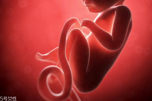 新媽媽必知:新生兒臍帶如何護理 新媽媽必知:新生兒臍帶如何護理