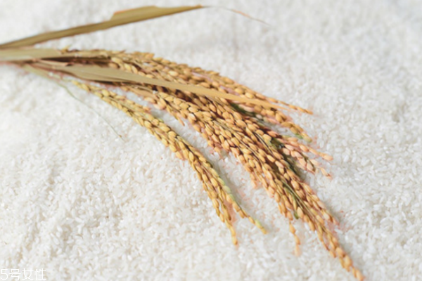 淘米水洗臉后還要用清水洗嗎 淘米水的美容功效 淘米水洗臉后還要用清水洗嗎 淘米水的美容功效