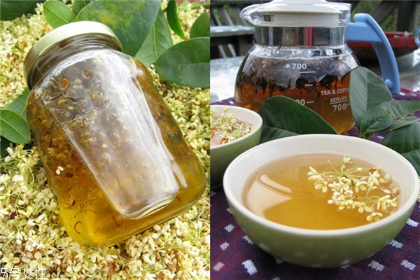 桂花盆栽的養(yǎng)殖方法 教你在家種花品香 桂花盆栽的養(yǎng)殖方法 教你在家種花品香