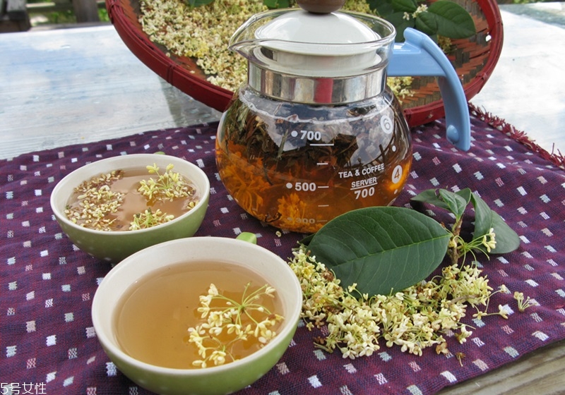 桂花盆栽的養(yǎng)殖方法 教你在家種花品香 桂花盆栽的養(yǎng)殖方法 教你在家種花品香