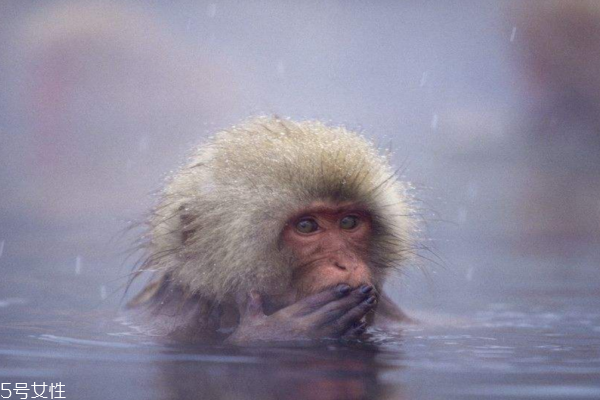 冬天用什么泡澡好 冬天洗澡誤區(qū)必須警惕 冬天用什么泡澡好 冬天洗澡誤區(qū)必須警惕