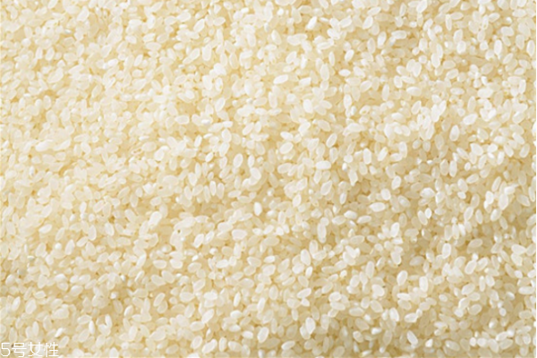 淘米水洗臉可以用洗面奶嗎 淘米水洗臉的危害 淘米水洗臉可以用洗面奶嗎 淘米水洗臉的危害