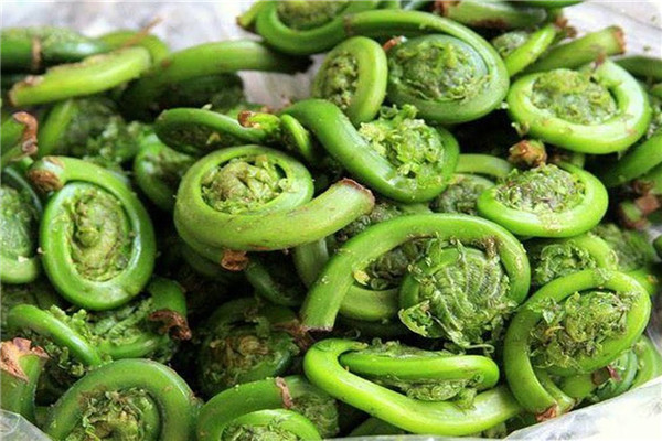 什么樣的人容易得高血壓 預防高血壓的自然方法 什么樣的人容易得高血壓 預防高血壓的自然方法