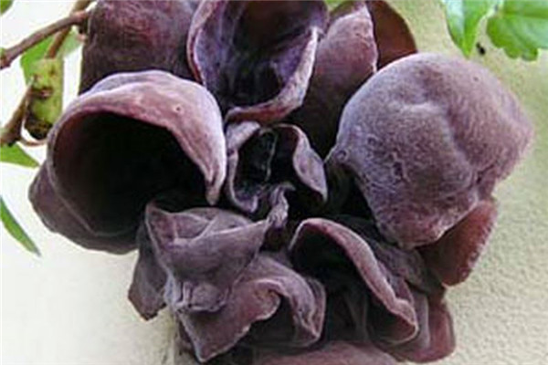 什么樣的人容易得高血壓 預防高血壓的自然方法 什么樣的人容易得高血壓 預防高血壓的自然方法