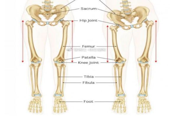 長短腿怎么矯正 長短腿的危害 長短腿怎么矯正 長短腿的危害