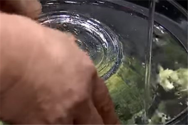 花椰菜怎么洗才干凈 4種清洗方式 花椰菜怎么洗才干凈 4種清洗方式