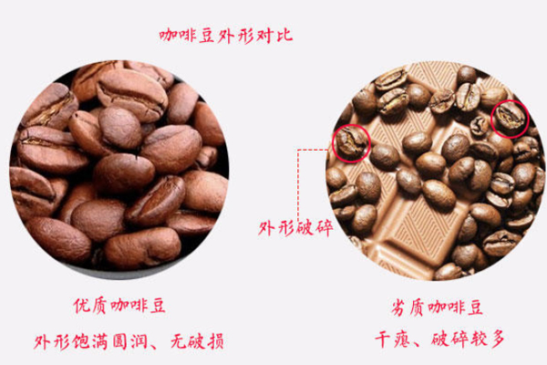咖啡豆的形狀如何挑選 優(yōu)劣咖啡豆對(duì)比圖 咖啡豆的形狀如何挑選 優(yōu)劣咖啡豆對(duì)比圖