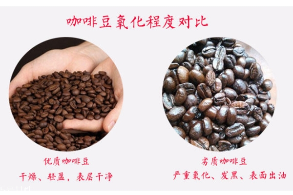 咖啡豆會(huì)氧化嗎 咖啡豆氧化程度對比圖