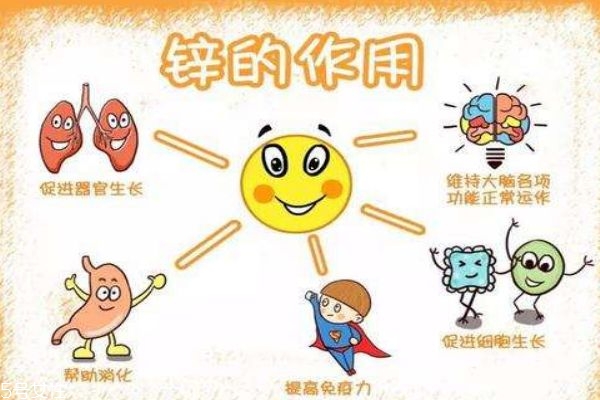 寶寶缺鋅是什么引起的 8個(gè)方面要留心 寶寶缺鋅是什么引起的 8個(gè)方面要留心