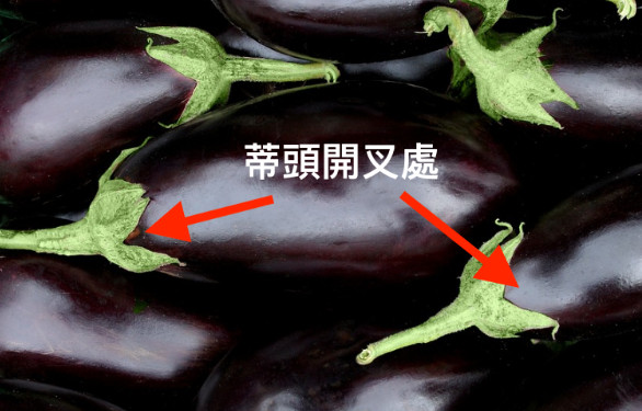 茄子怎么做不發(fā)黑 主廚教你兩秘訣 茄子怎么做不發(fā)黑 主廚教你兩秘訣