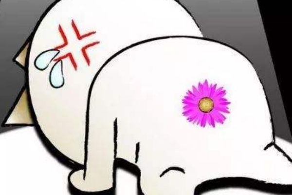 痔瘡手術(shù)后排便技巧 術(shù)后要注意什么 痔瘡手術(shù)后排便技巧 術(shù)后要注意什么