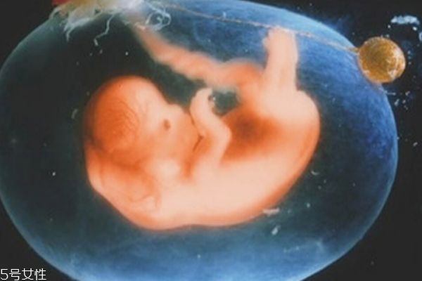 孕婦羊水少不能吃什么 羊水少喝什么湯 孕婦羊水少不能吃什么 羊水少喝什么湯