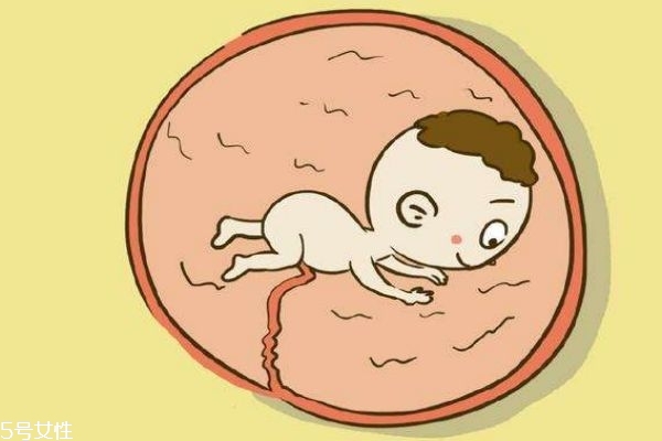 從胎動能看出男孩女孩嗎 別再相信這個啦 從胎動能看出男孩女孩嗎 別再相信這個啦