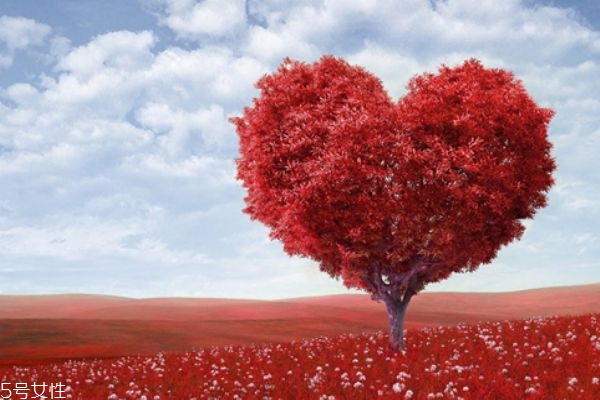 怎么求婚比較浪漫 求婚跪地姿勢 怎么求婚比較浪漫 求婚跪地姿勢