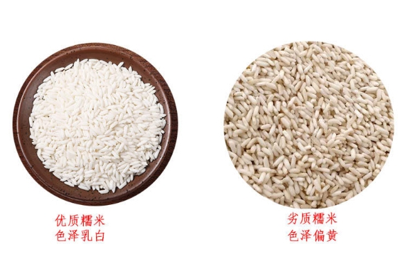 糯米怎么挑選才對 糯米什么顏色才好 糯米怎么挑選才對 糯米什么顏色才好