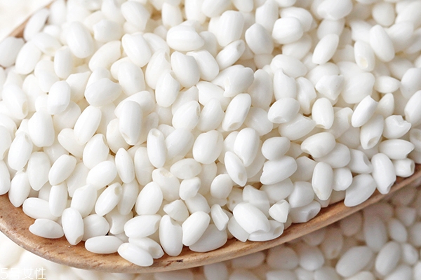 糯米怎么挑選才對 糯米什么顏色才好 糯米怎么挑選才對 糯米什么顏色才好