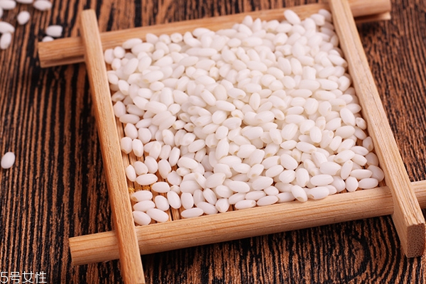 糯米和江米是一種米嗎 東北圓糯米才叫江米 糯米和江米是一種米嗎 東北圓糯米才叫江米