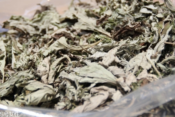 艾葉怎么煮 方法很簡單 艾葉怎么煮 方法很簡單