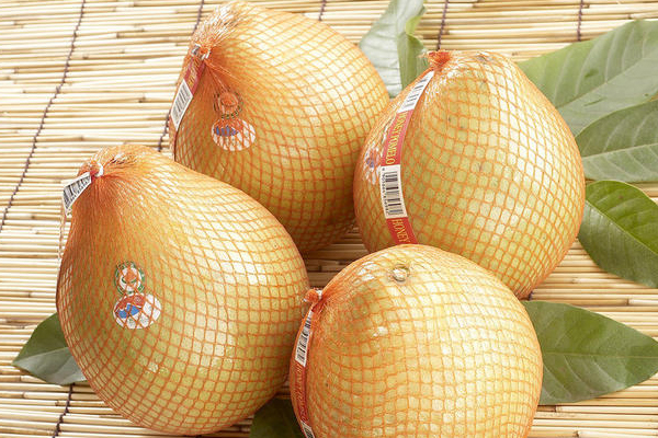 柚子屁股大的甜嗎 屁股圓的果斷放棄 柚子屁股大的甜嗎 屁股圓的果斷放棄