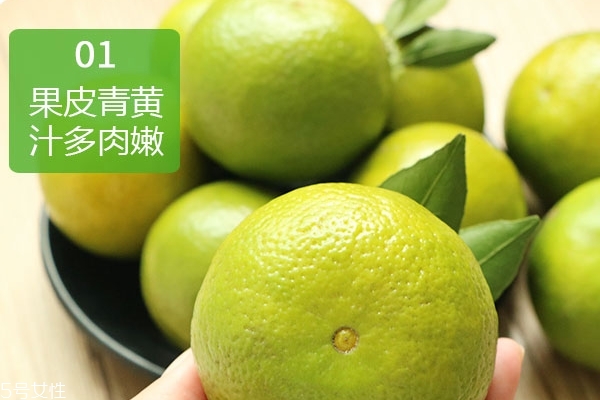 皇帝柑怎么吃 鹽蒸很不錯(cuò) 皇帝柑怎么吃 鹽蒸很不錯(cuò)