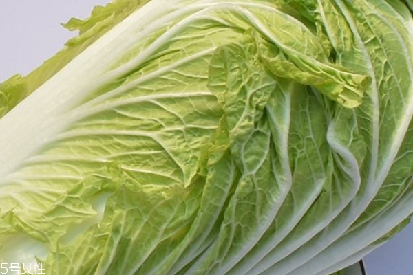 大白菜能降血糖嗎 有這個(gè)功效 大白菜能降血糖嗎 有這個(gè)功效
